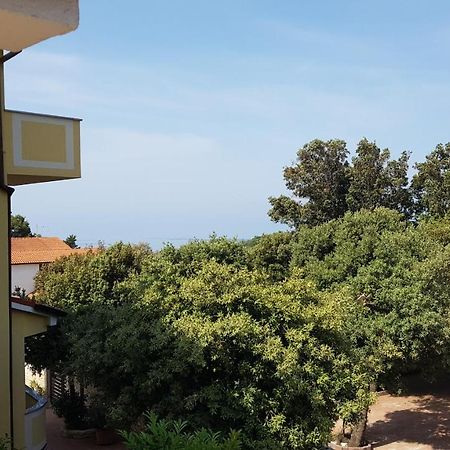 Premium Appartments Suha Punta Kampor Buitenkant foto